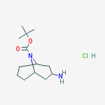 3-Amino-9-aza-bicyclo[3.3.1]nonane-9-carboxylic acid tert-butyl ester hydrochloride