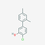 2-chloro-5-(2,4-dimethylphenyl)phenol