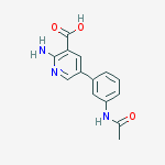 5-(3-acetamidophenyl)-2-aminopyridine-3-carboxylic Acid