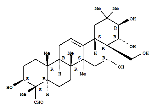 Camelliagenin E