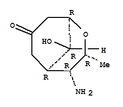2-Oxabicyclo[3.3.1]nonan-7-one,4-amino-9-hydroxy-3-methyl-, (1R,3R,4R,5R,9R)-