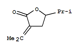 5-(propan-2-yl)-3-(propan-2-ylidene)dihydrofuran-2(3H)-one