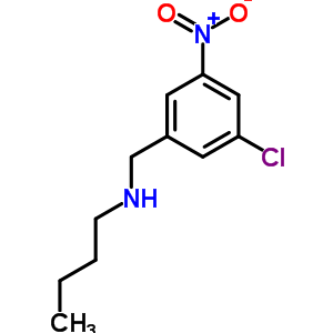 N-(3-chloro-5-nitrobenzyl)butan-1-amine