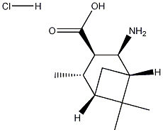 (1S,2S,3R,4S,5S)-2-AMINO-4,6,6-TRIMETHYLBICYCLO[3.1.1]HEPTANE-3-CARBOXYLIC ACID HYDROCHLORIDE molecular structure