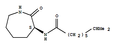 Octanamide,N-[(3S)-hexahydro-2-oxo-1H-azepin-3-yl]-7-methyl- molecular structure