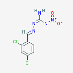 1-[(2,4-dichlorobenzylidene)amino]-3-nitroguanidine molecular structure