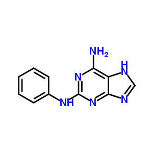 N~2~-phenyl-7H-purine-2,6-diamine molecular structure