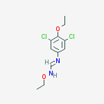 N'-(3,5-dichloro-4-ethoxyphenyl)-N-ethoxyimidoformamide molecular structure