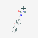 1-tert-butyl-3-(3-phenoxybenzyl)urea molecular structure